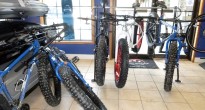 Stan and Dan fatbike rental fleet